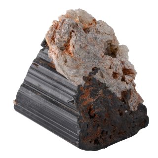 Black Tourmaline Extra Quality 0.5-1.5", Madagascar (1pc) NETT