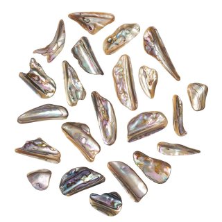 Polished Abalone Shell Rims (by the gram) NFD