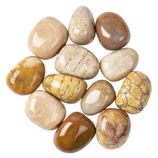 Agatised Coral Tumblestones 20-30mm (250g)