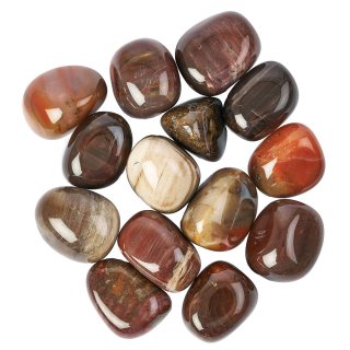 Petrified Wood Tumblestones 20-30mm (250g) 