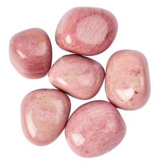 Pink Petrified Wood Tumblestones (20-30mm (100g)
