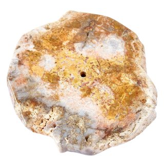 Petrified Wood Natural Edge Slab Incense Holder (1pc) NFD