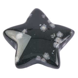 Snowflake Obsidian Star, 8mm x 28/30mm (1pc)
