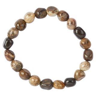 Petrified Wood Tumblestone Bracelet (1pc)