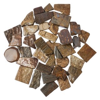 Bronzite Freeform Slabs, 4/15mm x 30/70mm (KGS)