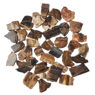 Petrified Wood Freeform Slabs, 4/15mm x 30/70mm (KGS)