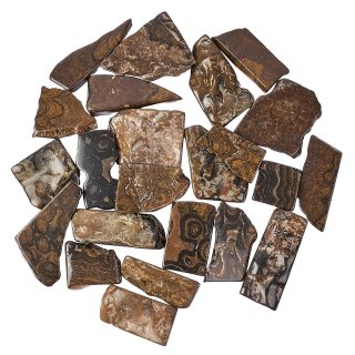 Stromatolite Freeform Slabs, 5/20mm x 50/100mm (KGS)
