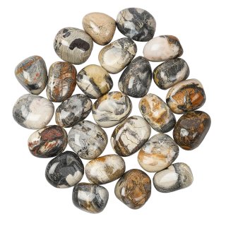 Silver Leaf Jasper Tumblestone Refill (25pcs)