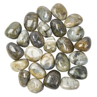 Labradorite Tumblestone Refill (25pcs)