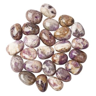 Dog Tooth Amethyst Tumblestone Refill (25pcs)