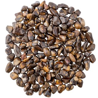 Autumn Leaf Jasper Tumblestone, South Africa (KGS) 