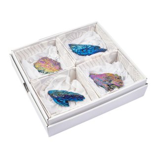 Witches Broom Aura (4pc)