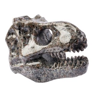 Yooperlite Dinosaur Skull (1pc) NFD