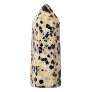 Dalmation Jasper Generator Point, 38mm (1pc) NFD