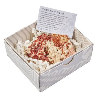 Large Vanadinite on Baryte in Gift Box, Mibladen Morocco (1pc)