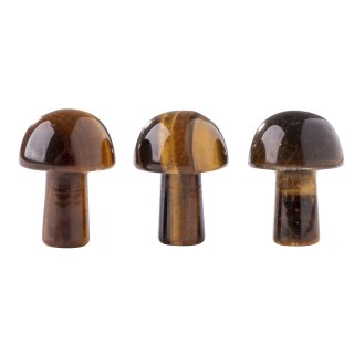 Gemstone Mushroom Tiger Eye (3pcs) 