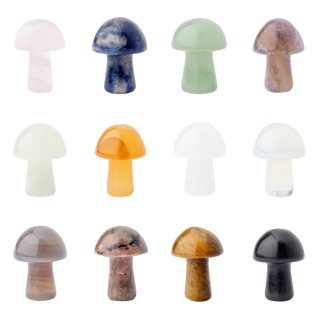 Gemstone Mushroom Assorted (12pcs) NFD