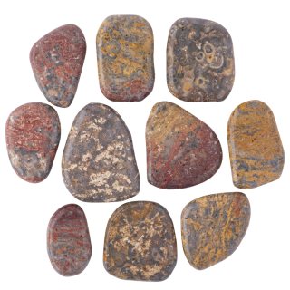 Leopardskin Jasper 35-45mm Smoothstone (10pcs) NFD