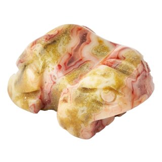 Crazy Lace Agate Frog Carving (1pc)