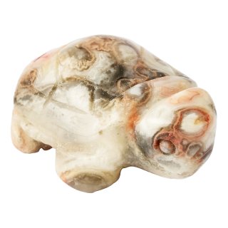 Crazy Lace Agate Turtle Carving (1pc)