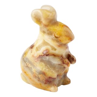 Crazy Lace Agate Rabbit Carving (1pc)