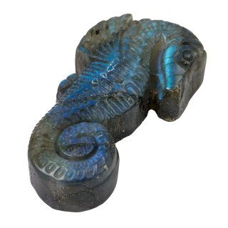 Labradorite Seahorse Carving (1pc) NFD