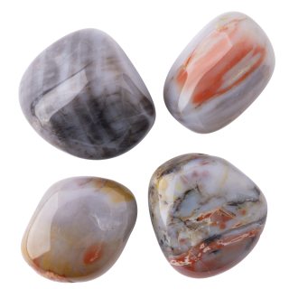 Petrified Wood Large Tumblestone 30-40mm, USA (100g) 