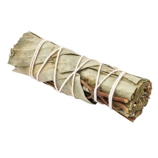 Eucalyptus Smudge Stick 4" (1pc) NFD