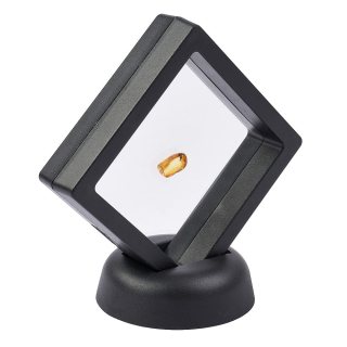 Insect in Amber (up to 0.5gram/pc) in 7cm Floating Frame