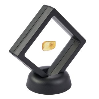 Insect in Amber (0.5-1grams) in 7cm floating frame (1pc)
