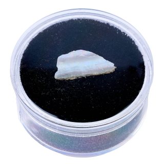 White Fire Opal, Mexico 10-20mm (1pc) 