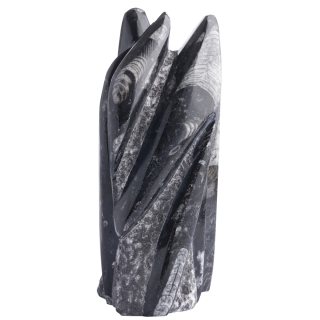 Small (8-10") Freestanding Orthoceras Sculpture (1pc) NETT