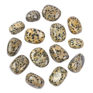 Jasper Dalmation (250g) 20-30mm Med Tumble NETT