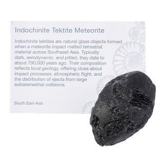 Tektite Tumblestone with ID Card, 30-40mm (1pc) NFD