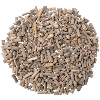 25mm (Approx) Fossilised Crinoid Stems (1kg) 