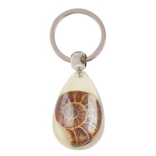 Glow in the Dark Resin Ammonite Keyring (1pc)