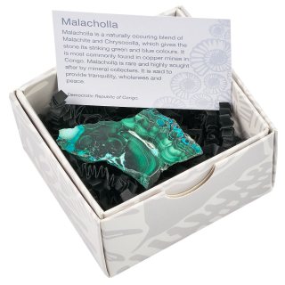 Malacholla Slice in Gift Box (1pc)