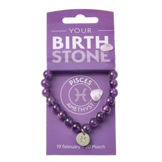 PISCES Amethyst Birthstone Bead Bracelet with Charm (3pc) NFD