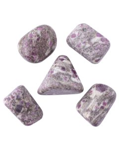 Ruby in Rhyolite Large Tumblestone 30-40mm India (100g) NFD