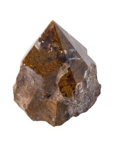 Petrified Wood Top Polished Point 200-300g, India (1pc) 