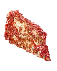Vanadinite Specimen in Gift Box, Small, Mibladen Morrocco, (1pc) NETT