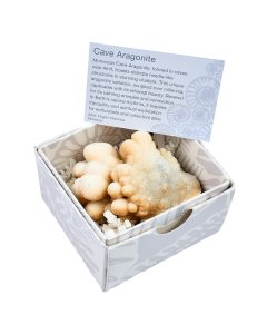 Cave Aragonite in Gift Box, Ighroud Mine, Medium, (1pc) NETT