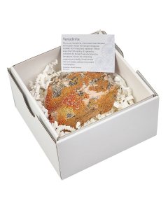 Vanadinite Specimen, X Large, Mibladen (1pc)