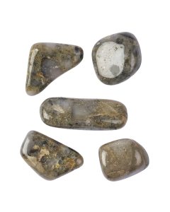 African Gold Pyrite Tumblestones (by the gram) NFD