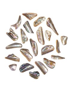 Polished Abalone Shell Rims (by the gram) NFD