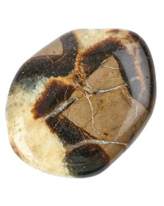 Septarian Smoothstone (A Grade) (1pc)