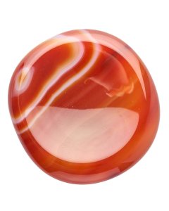 Carnelian Freeform Worry Stone (1pc)