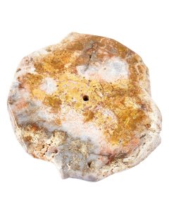 Petrified Wood Natural Edge Slab Incense Holder (1pc) NFD