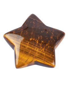 Gold Tiger Eye Star 10x40mm (1pc)