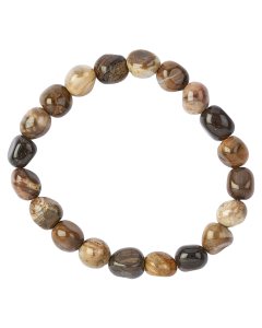 Petrified Wood Tumblestone Bracelet (1pc)